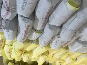 Mr Putty Screeding Cement Master Quality