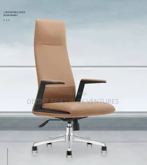 Executive Director's Office Chair