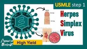 Treatment for HPV Genital Wart Inside Bloodstream Outside