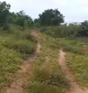 100 Plots of Land for Sale