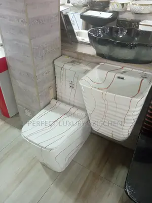 Rockford Designed Milk Color Executive W.C Water Closet