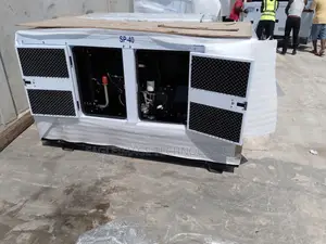 Perkins Noise-Reduced 40kva DIESEL Generator