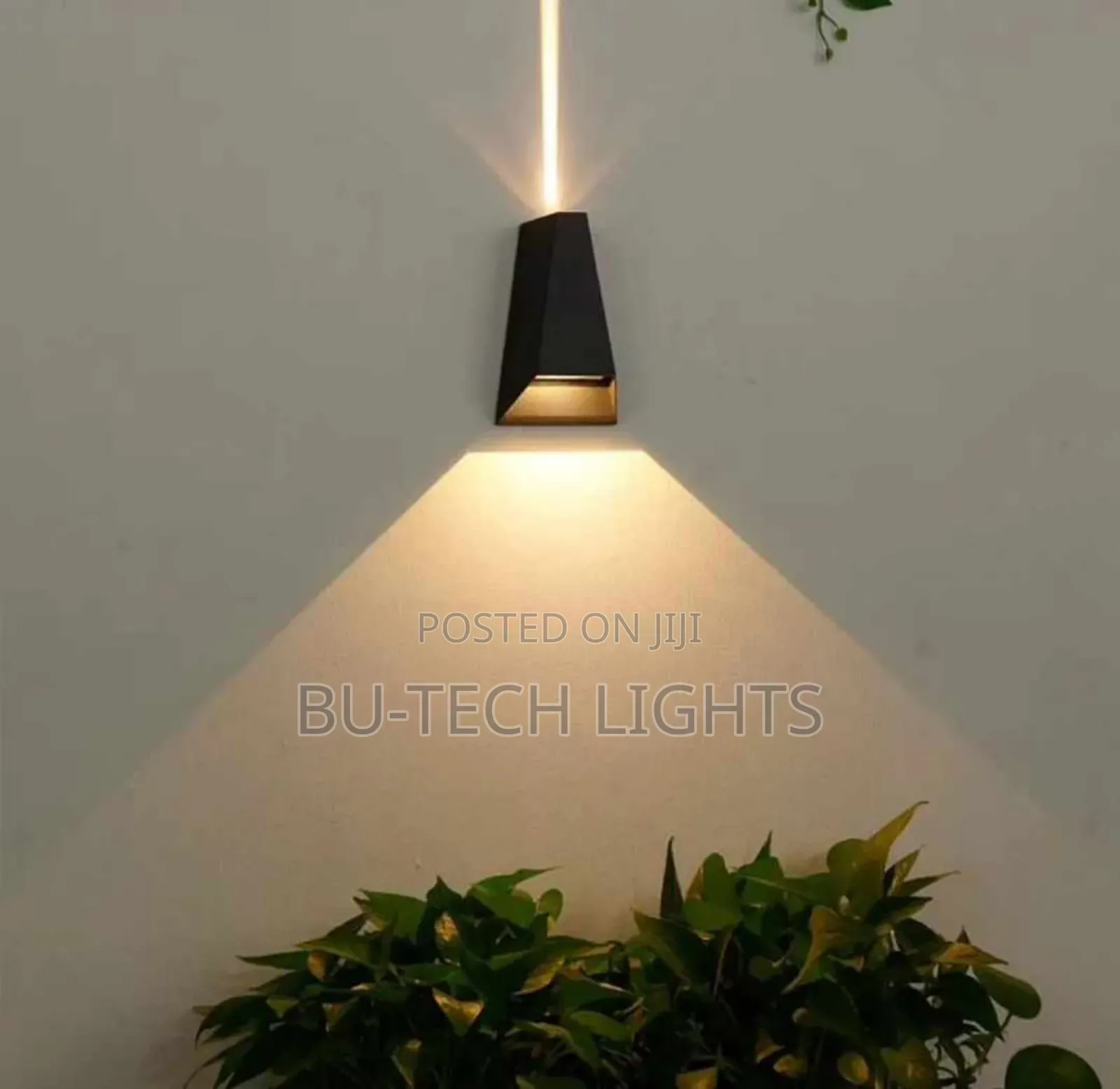 Outdoor Light