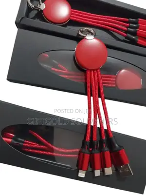 3 in 1 Promotional Charging Cable