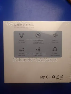 Wireless Mic 