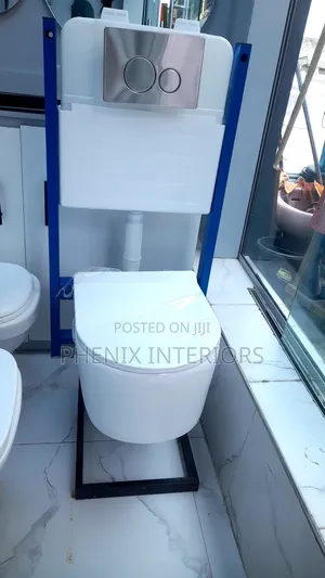 White Concealed Conduit Water Closet