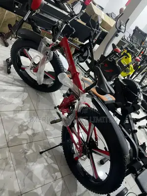 Big Tire Bicycle With Alloyed Way