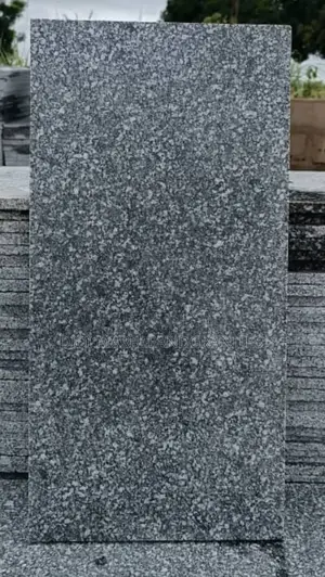 Marble Tiles 60x120 Spotty Black