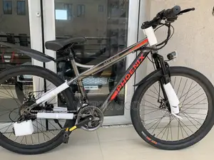 Phoenix Electric Bike