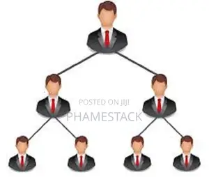 Multi Level Marketing (Mlm) App Developer in Nigeria