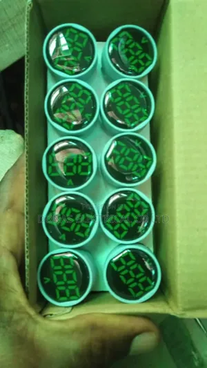 Voltage Pilot Lamp