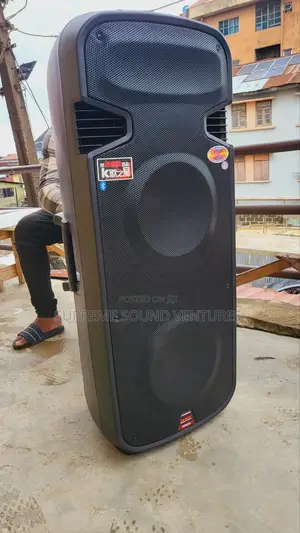 15 Inches Double Public Address System