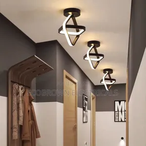 Exquisite Ceiling Fitting