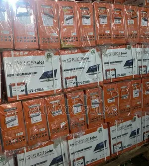 Quality Standard City Choice Tubular Battery