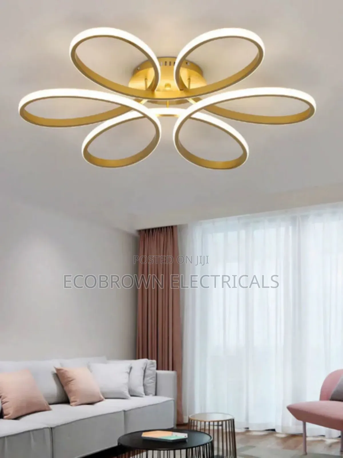 Unique Ceiling Fitting