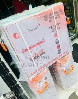 Standard Quality 220ah Pelicity Tubular Battery