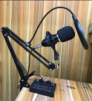 Bm-800 Condenser Microphone With V8s Sound Card