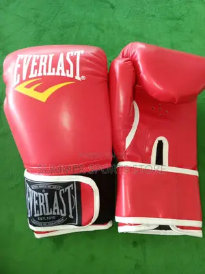 Everlast Quality Boxing Gloves