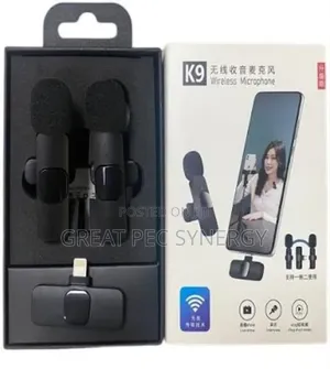  Wireless Microphone