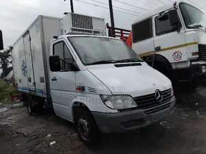 Mercedes Sprinter Cooling Truck
