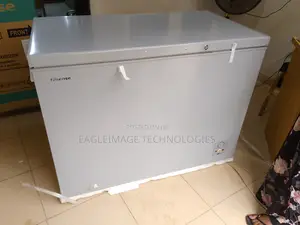 High-Capacity Hisense 390sh Chest Freezer