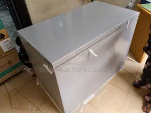 Quiet-Operation Hisense 390sh Chest Freezer