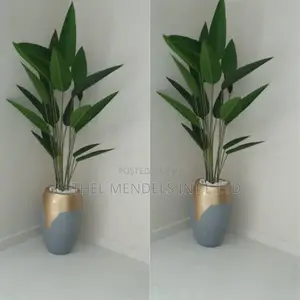 Combo of Artificial Plant Potted With Fiberglass Pot