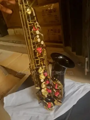 Standard Alto Saxophone Gold and Black