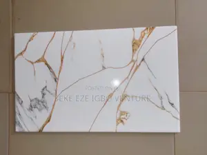 25*40 Wall Tiles