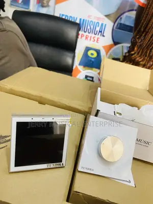 Wall Amplifier With Alexa and Tuya With Volume Control