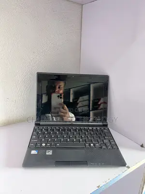 Laptop Toshiba NB505 Mini 2GB Intel HDD 250GB
