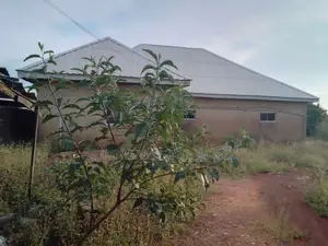 Trancsekulu, Blossom Garden, Enugu