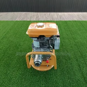 Robin Vibrator Engine