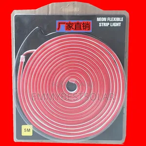 10m Neon Rope Light