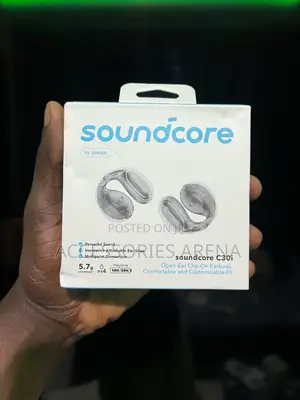 Anker Soundcore C30i Earbuds.