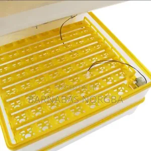 98 Incubator Eggs Tray