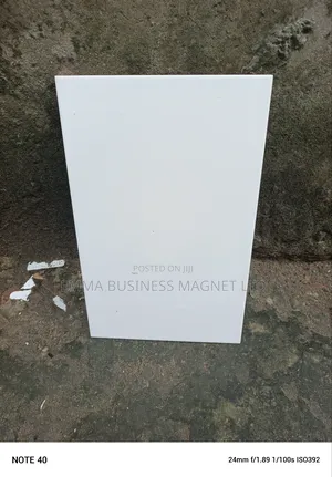 25x50 High Quality Spanish White Wall Tiles