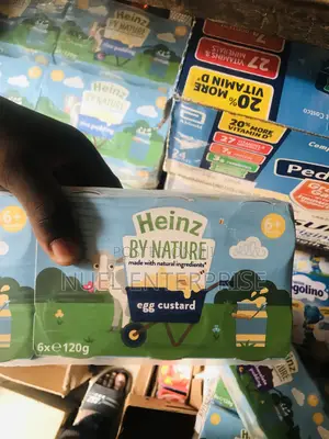 Heinz Egg Custard