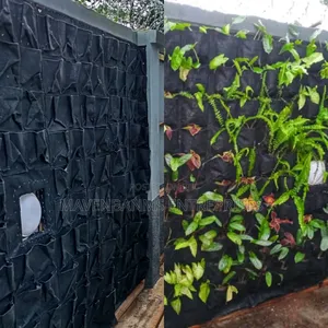 Landscaping and Garden Maintenance