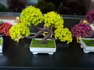 Flowers for Decor