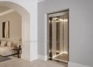 Type of Passenger Elevator Lift