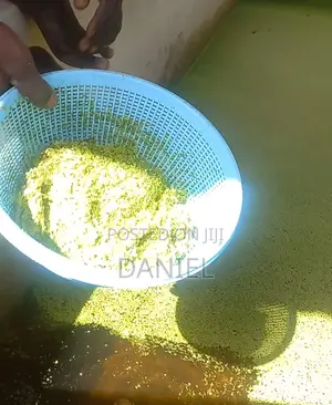 Azolla Protein Supplements for Livestock
