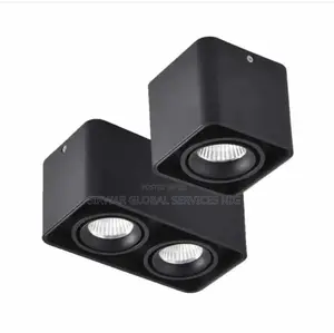 Cantilever Spot Light