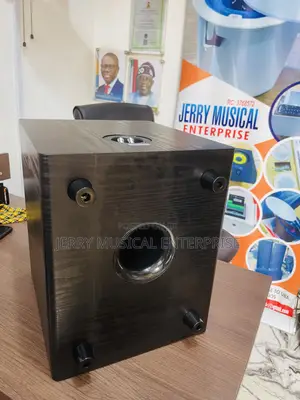 Lucky Tone Passive Subwoofer for Ceiling/Pop Speakers