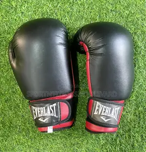 Everlast High Quality Boxing Gloves