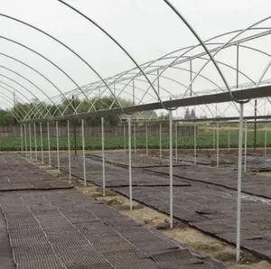 Modular Greenhouse Steel Structure Fabrication