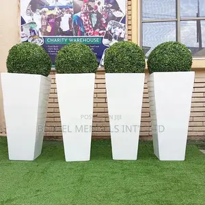 Boxwood Ball Plant Potted With Tapered Fiberglass Planter
