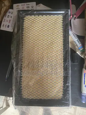 Ford Edge Air Filter or Cleaner