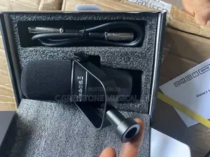 Shure Podcast Mic