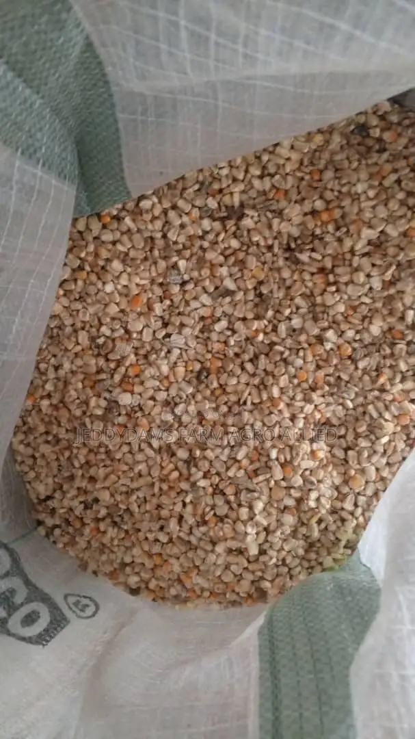 Maize Production